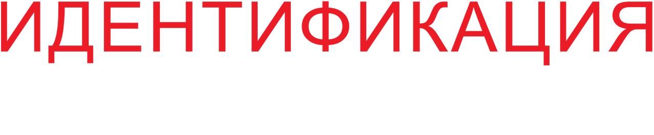 Идентификация Борна logo